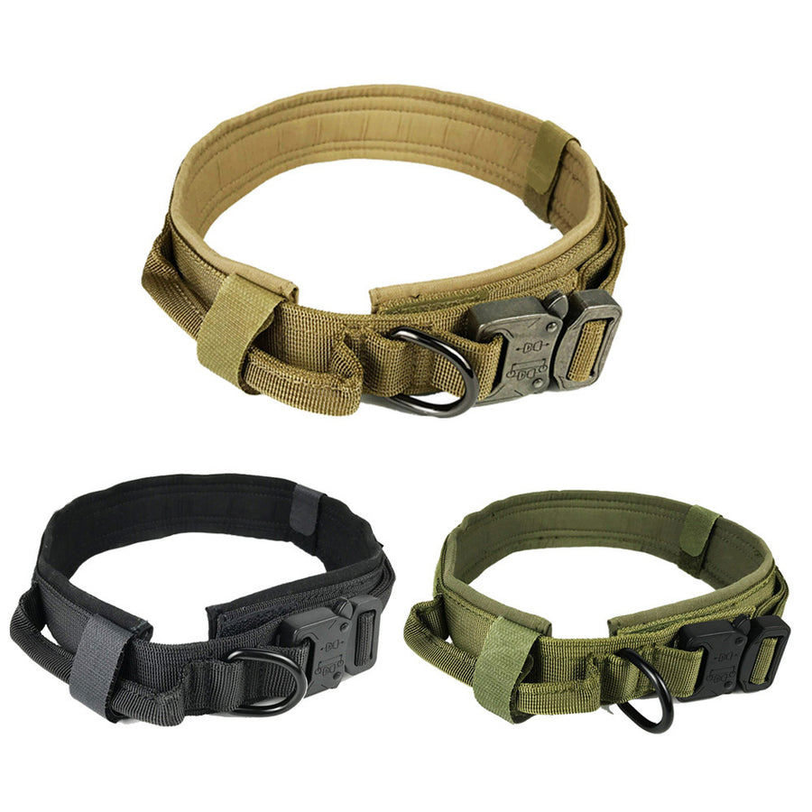 Dog Collar
