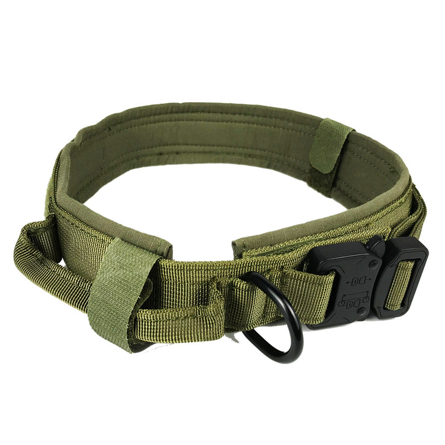 Dog Collar