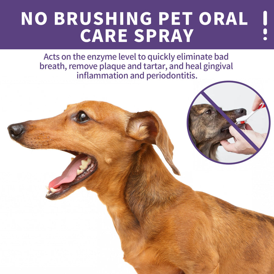 Pet Oral Cleaning Spray for Dogs and Cats