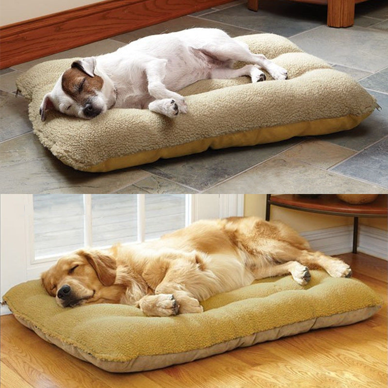 Removable Washable Pet Mat for Dogs and Cats